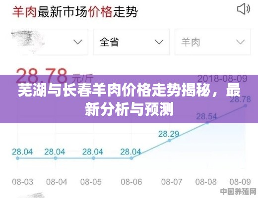 芜湖与长春羊肉价格走势揭秘，最新分析与预测