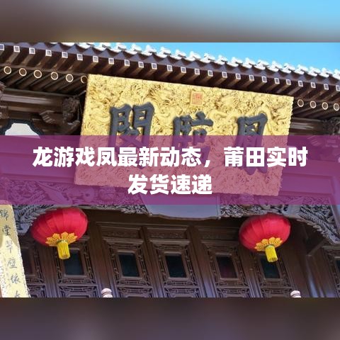 龙游戏凤最新动态，莆田实时发货速递