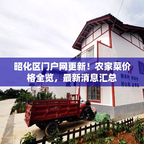 昭化区门户网更新！农家菜价格全览，最新消息汇总