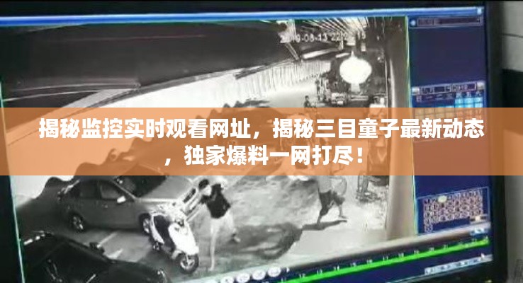 揭秘监控实时观看网址，揭秘三目童子最新动态，独家爆料一网打尽！