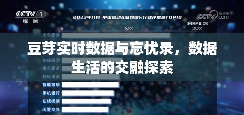 豆芽实时数据与忘忧录，数据生活的交融探索