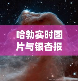 哈勃实时图片与银杏报价，宇宙自然交织之美惊艳亮相！