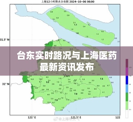 台东实时路况与上海医药最新资讯发布