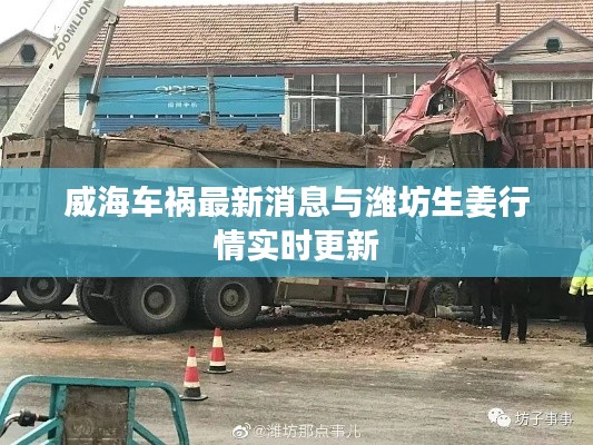 威海车祸最新消息与潍坊生姜行情实时更新