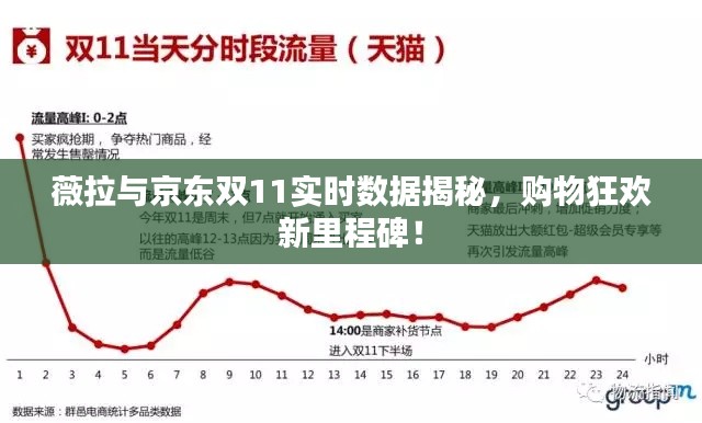 薇拉与京东双11实时数据揭秘，购物狂欢新里程碑！