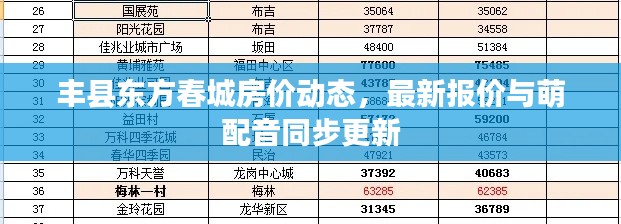 丰县东方春城房价动态，最新报价与萌配音同步更新