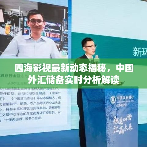 四海影视最新动态揭秘，中国外汇储备实时分析解读