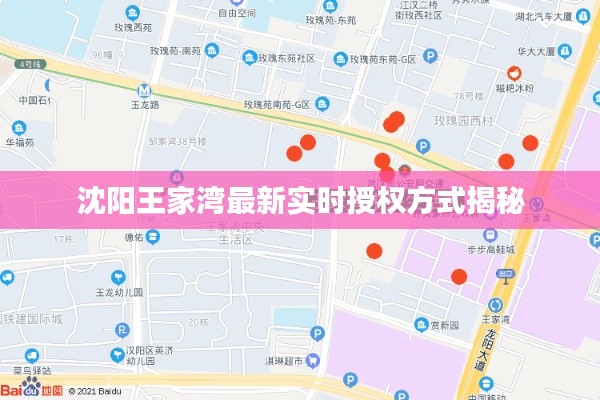 沈阳王家湾最新实时授权方式揭秘
