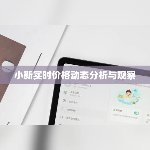 小新实时价格动态分析与观察