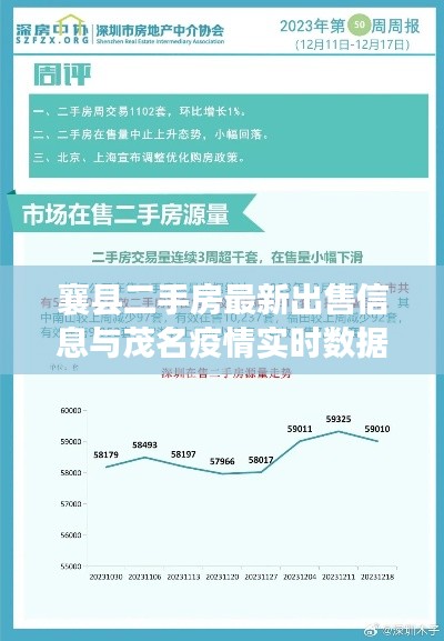 襄县二手房最新出售信息与茂名疫情实时数据更新报告