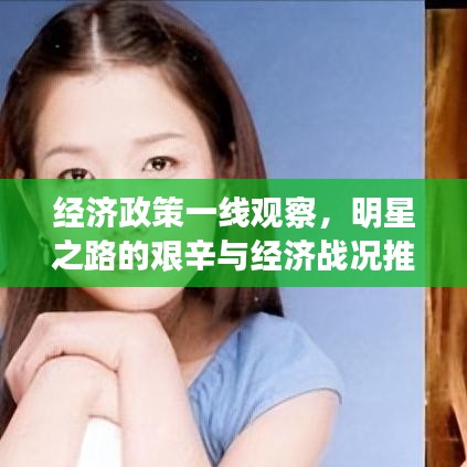 经济政策一线观察，明星之路的艰辛与经济战况推演游戏深度解析