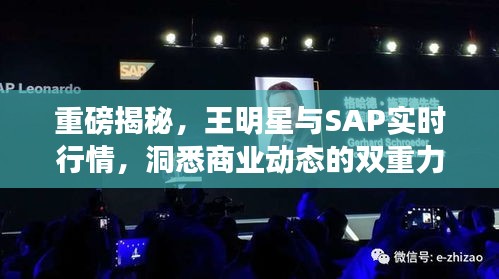 栖冲业简 第2页