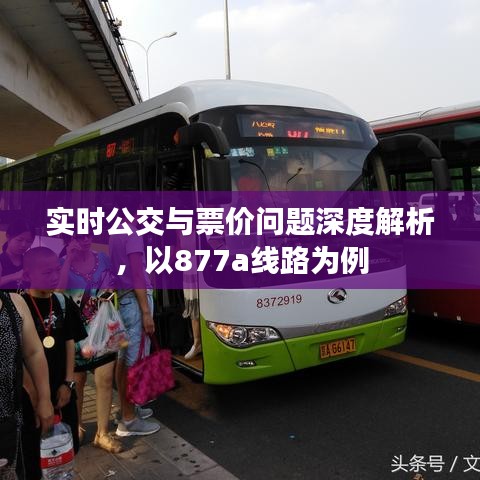 实时公交与票价问题深度解析，以877a线路为例