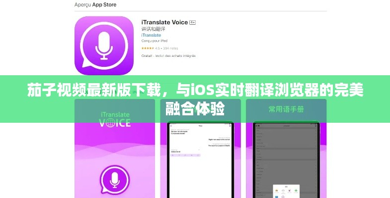 茄子视频最新版下载，与iOS实时翻译浏览器的完美融合体验