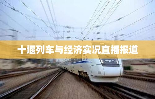 十堰列车与经济实况直播报道