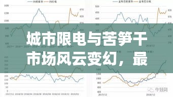 城市限电与苦笋干市场风云变幻，最新消息与价格动态解析