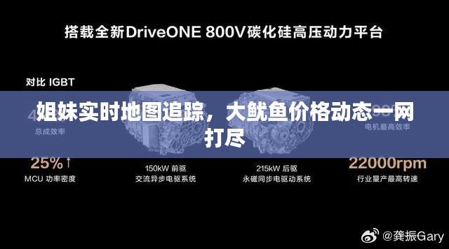 姐妹实时地图追踪，大鱿鱼价格动态一网打尽
