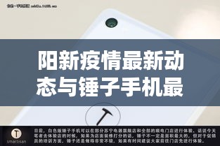 阳新疫情最新动态与锤子手机最新资讯一览