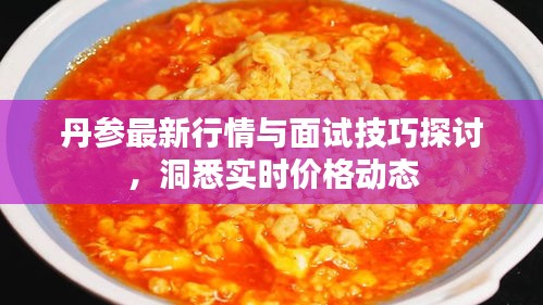 丹参最新行情与面试技巧探讨，洞悉实时价格动态