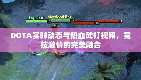 DOTA实时动态与热血武打视频，竞技激情的完美融合