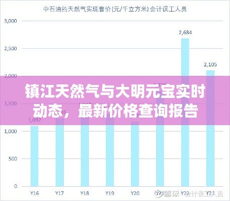 镇江天然气与大明元宝实时动态，最新价格查询报告
