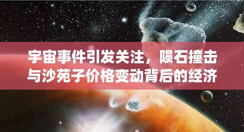 宇宙事件引发关注，陨石撞击与沙苑子价格变动背后的经济影响揭秘