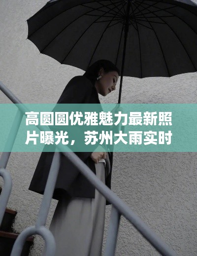 高圆圆优雅魅力最新照片曝光，苏州大雨实时更新，雨中美景与女神风采共赏