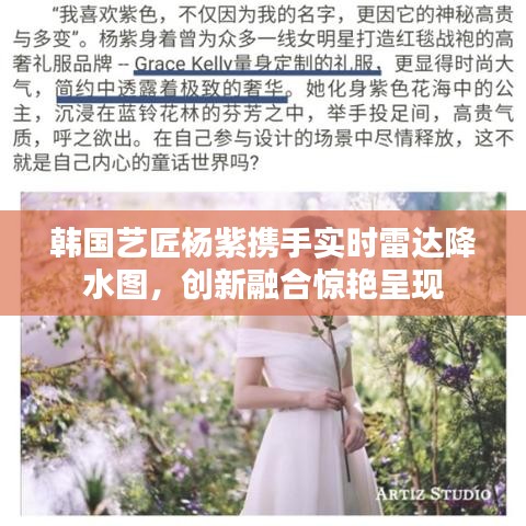 韩国艺匠杨紫携手实时雷达降水图，创新融合惊艳呈现