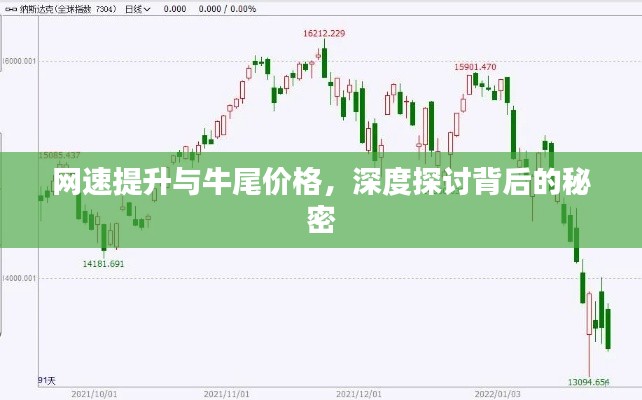 网速提升与牛尾价格，深度探讨背后的秘密