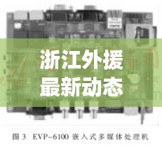 浙江外援最新动态与智慧监管系统实时应用监控概览