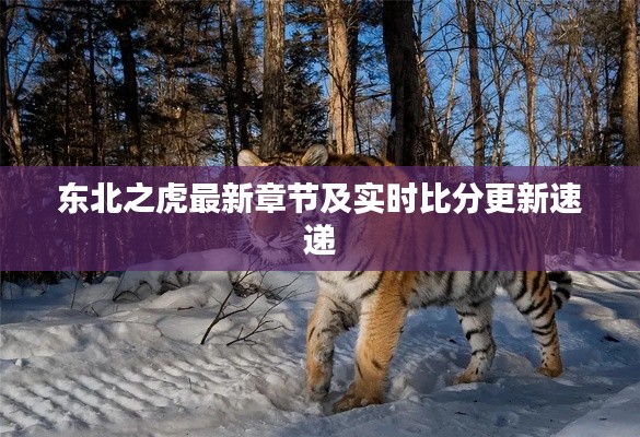 东北之虎最新章节及实时比分更新速递