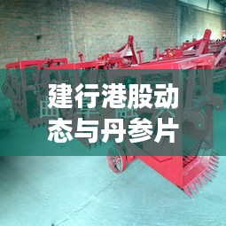 建行港股动态与丹参片价格深度解析