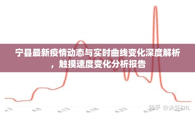 宁县最新疫情动态与实时曲线变化深度解析，触摸速度变化分析报告