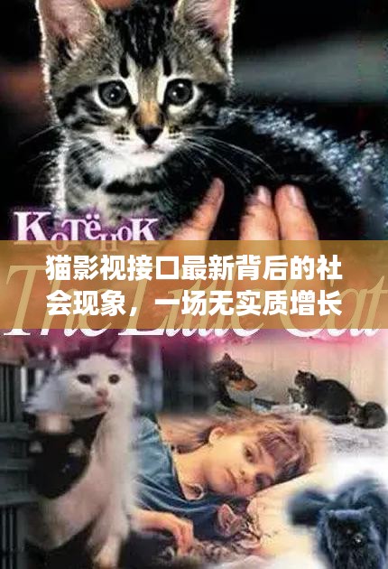 猫影视接口最新背后的社会现象，一场无实质增长的消耗战