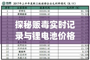 探秘贩毒实时记录与锂电池价格之旅，一起聊聊12伏锂电池的行情