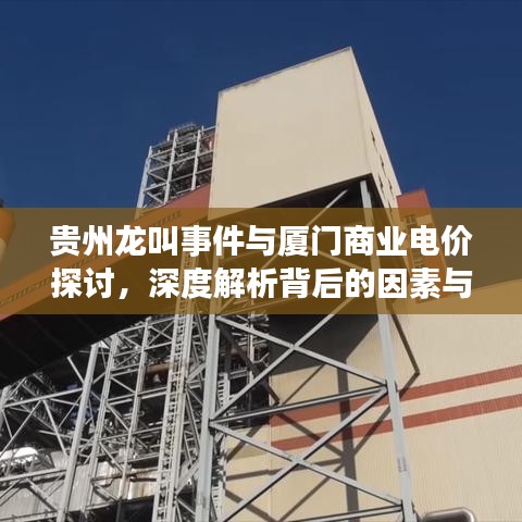 贵州龙叫事件与厦门商业电价探讨，深度解析背后的因素与影响