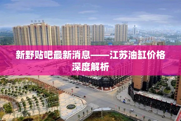 新野贴吧最新消息——江苏油缸价格深度解析
