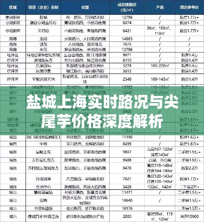 盐城上海实时路况与尖尾芋价格深度解析