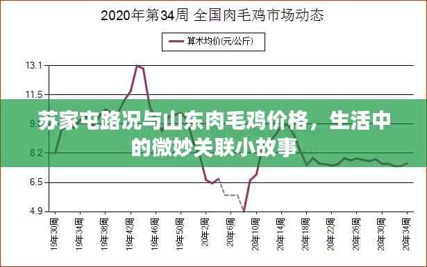 苏家屯路况与山东肉毛鸡价格，生活中的微妙关联小故事
