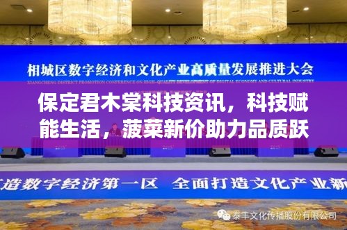保定君木棠科技资讯，科技赋能生活，菠菜新价助力品质跃升
