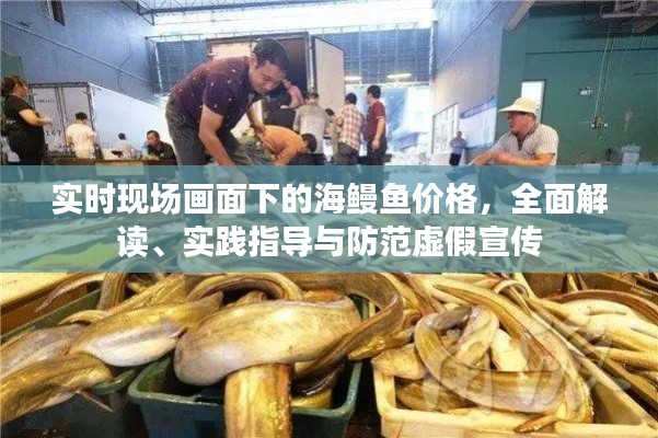 实时现场画面下的海鳗鱼价格，全面解读、实践指导与防范虚假宣传