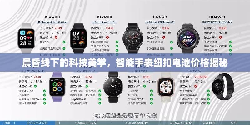 晨昏线下的科技美学，智能手表纽扣电池价格揭秘