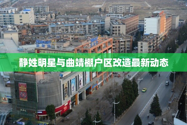 国色天姿 第2页