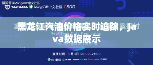 黑龙江汽油价格实时追踪，Java数据展示