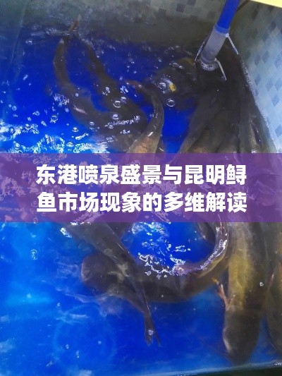 东港喷泉盛景与昆明鲟鱼市场现象的多维解读