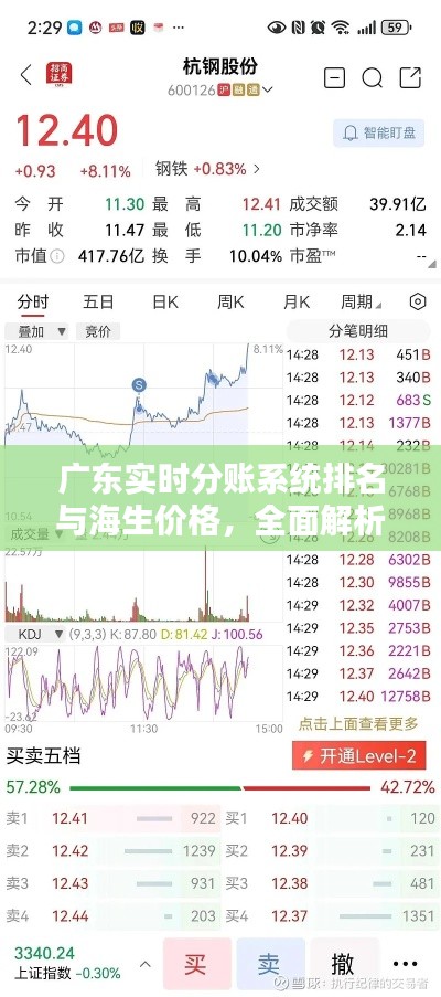 广东实时分账系统排名与海生价格，全面解析与深度探讨