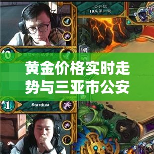 黄金价格实时走势与三亚市公安局动态更新