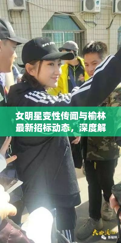 女明星变性传闻与榆林最新招标动态，深度解析新闻事件揭秘真相
