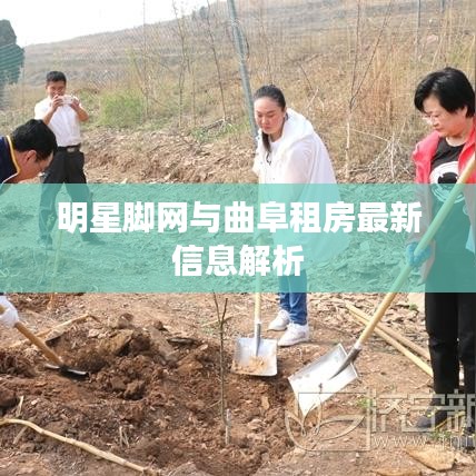 明星脚网与曲阜租房最新信息解析