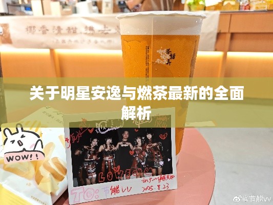 关于明星安逸与燃茶最新的全面解析